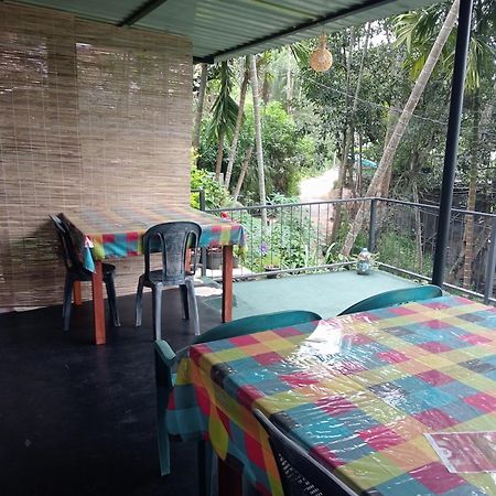 Bed and Breakfast Cool Breeze View Ella Exteriér fotografie